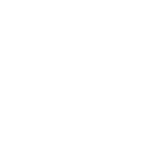 Cyber Sour ist zertifiziert von Anthropic